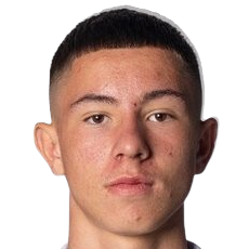 安德烈·瓦索维奇头像