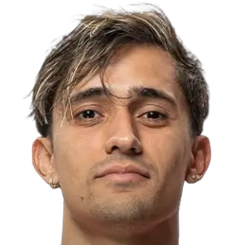 巴勃罗·索拉里头像