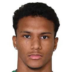 法比亚诺·罗德里格斯·佩雷拉头像