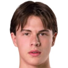 斯维利尔·哈尔斯塔德头像