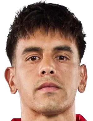 亚历克西斯·卡斯特罗头像