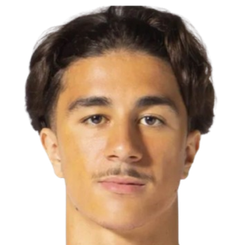 阿丁·利奇纳头像