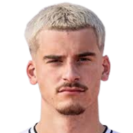 尼克拉斯·霍斯特·卡斯特勒头像