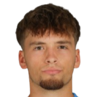 法比安·莱希纳头像