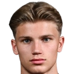 斯坦·纳尔特头像