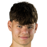 丹·范莱尔头像