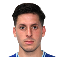 马蒂亚斯·帕尼加齐头像