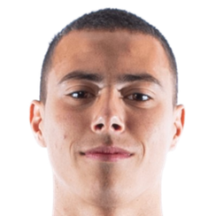 利奥·巴托洛维奇头像