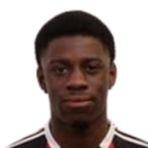 德林索拉·阿德瓦尔头像