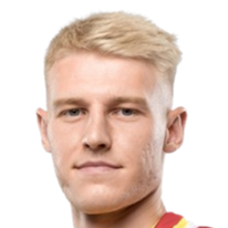 尼基塔·卡玛耶夫头像