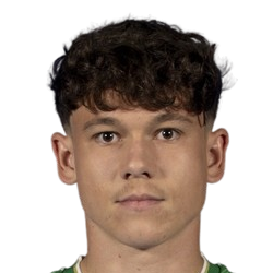 亚历克斯·托特头像