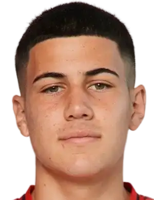 费利佩·查韦斯头像