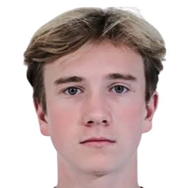 伊利亚·索科洛夫头像