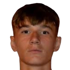 拉杜·里卡多头像