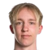 汉斯·卡尔德斯特姆头像