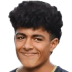 穆罕默德·梅德哈特头像