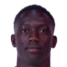 苏莱曼·费伊头像