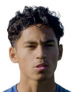 哈维·伍德斯塔拉头像