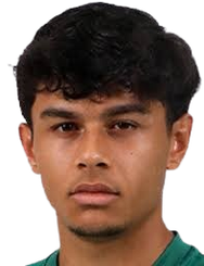 里卡多·费利佩·施瓦茨头像