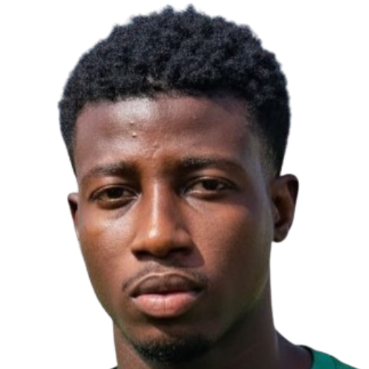 阿里·巴德拉·迪亚巴特头像