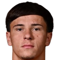 约安·佩雷拉头像