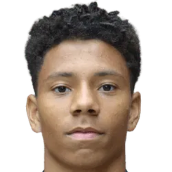 约阿希姆·尼斯维恩头像