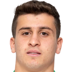 马汉·萨德吉头像