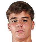 阿方索·费雷里尼亚头像