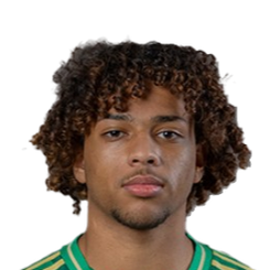 瓦利德·奥菲头像