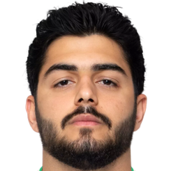 埃尔凡·达尔维沙利头像