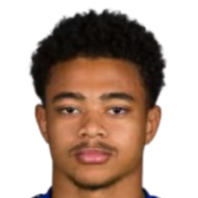 丹尼尔·韦尔纳图斯头像