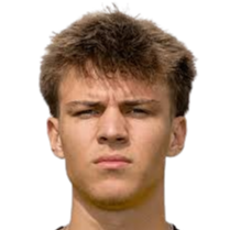 朱利安·赫特维尔头像