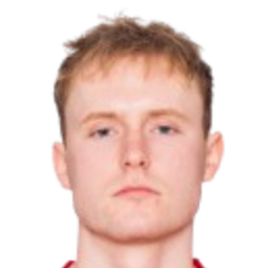 马库斯·哈兰德头像