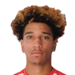 阿诺·罗林头像