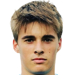 维克多·斯维宁头像