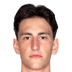 大卫·图费克西奇头像