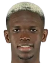 巴希尔·盖耶头像