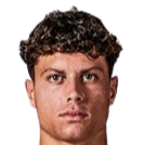 拉斐尔·路易斯头像