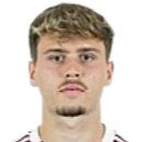 尼科·赛德尔头像