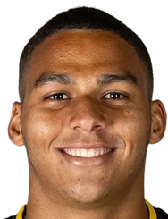 马罗安·桑纳迪头像