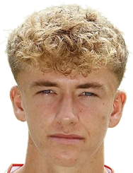 斯文·米南斯头像