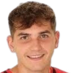 佐尔坦·瓦斯瓦里头像