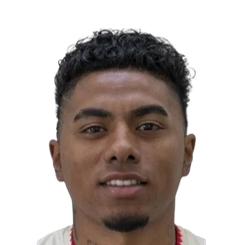 埃琳娜·拉米雷斯头像