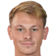 弗拉季斯拉夫·瓦库拉头像