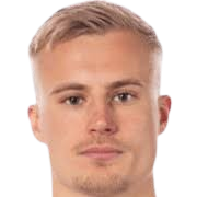 维克多·伯格头像