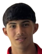 卢卡·拉法埃利头像