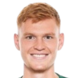 大卫·胡梅尔头像