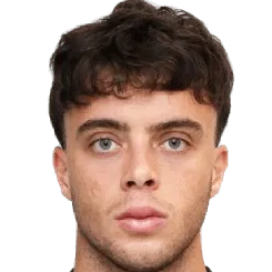 亚历山德罗·皮特雷利头像