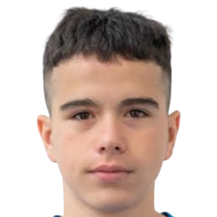 蒂格兰·阿拉巴扬头像