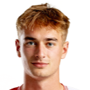 西蒙·斯隆西克头像